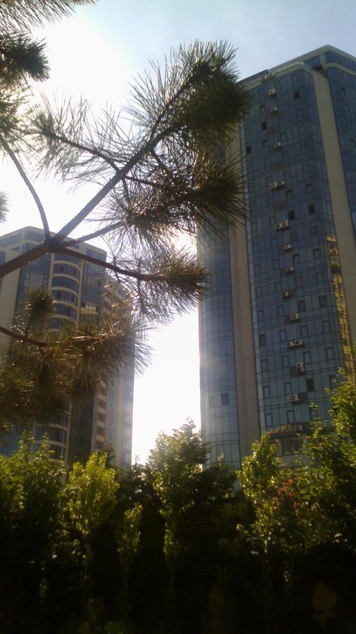אודסה Dolphin Apartment מראה חיצוני תמונה